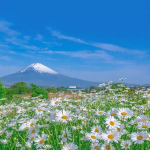 久久久久青草线焦综合
