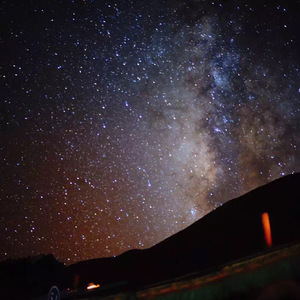 久久久久青草线焦综合
